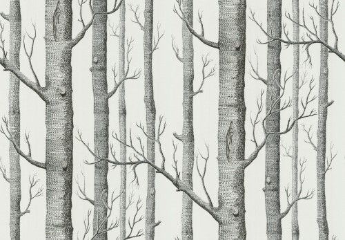 Tapeta Cole and Son Woods w kolorze czarno-białym przedstawia wzór z pionowymi, niezwykle szczegółowymi rysunkami drzew. Ujęcie frontalne ukazuje duże, wyraźne pnie z drobnymi gałęziami oraz delikatnymi detalami kory, na jasnym tle.