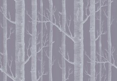 Tapeta Cole and Son Woods White/Grey