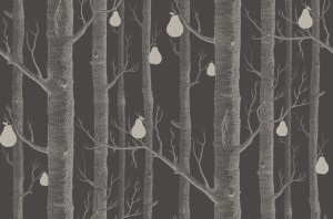 Tapeta Cole and Son Woods & Pears White/Charcoal/Silver
