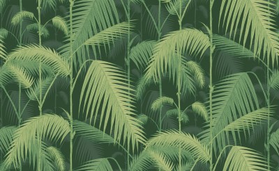 Tapeta Cole and Son Palm Jungle Green/Lime 2