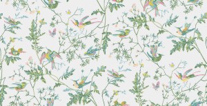 Tapeta Cole and Son Hummingbirds Viridian Multi