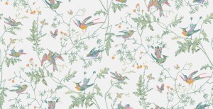 Tapeta Cole and Son Hummingbirds Pastel Multi