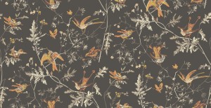 Tapeta Cole and Son Hummingbirds Charcoal/Ginger