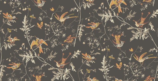 Tapeta Cole and Son Hummingbirds Charcoal/Ginger