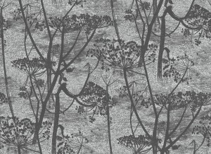 Tapeta Cole and Son Cow Parsley Charcoal/Grey