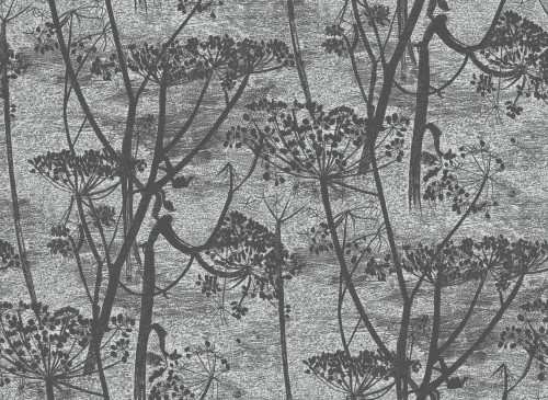 Tapeta Cole and Son Cow Parsley w odcieniach charcoal i grey, z roślinnym wzorem i intensywnymi konturami na jasnym tle, pokazana na prostej teksturowanej strukturze.
