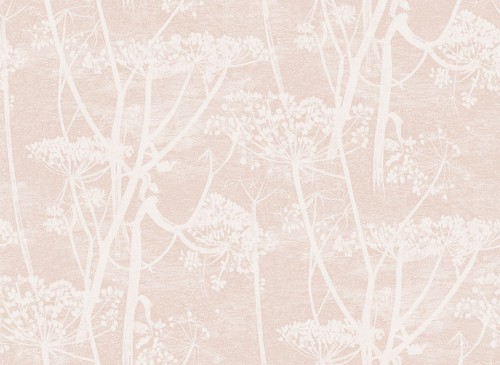 Tapeta Cole and Son Cow Parsley w kolorze białym i różowym, przedstawiająca delikatny wzór roślinny. Wzór z białymi gałązkami i kwiatami na tle w odcieniu jasnego różu, stworzony z teksturowanego materiału.