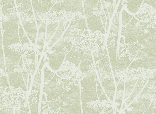 Tapeta Cole and Son Cow Parsley w kolorze białym i oliwkowym, z delikatnym wzorem roślinnym. Motyw przedstawia wysokie łodygi i kwiaty, na jednolitym, pastelowym tle. Tekstura jest gładka, a wzór jest subtelny i elegancki, idealny do aranżacji wnętrz.