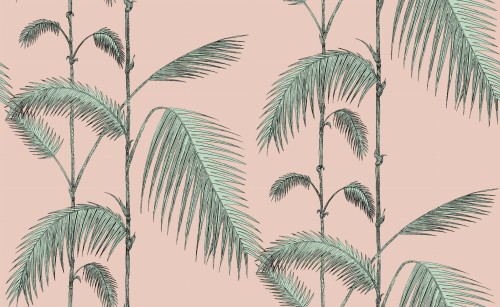 Tapeta Cole and Son Palm Leaves w odcieniach miętowym i różowym, z motywem liści palmowych na jednolitym tle. Liście o szczegółowej teksturze, z wyraźnymi łodygami, tworzą elegancki wzór. Idealna do aranżacji wnętrz.