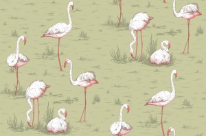 Tapeta Cole and Son Flamingos White/Olive
