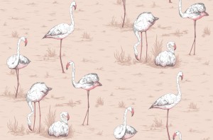 Tapeta Cole and Son Flamingos White/Pink