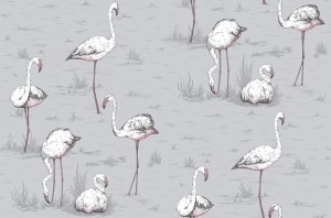 Tapeta Cole and Son Flamingos White/Lilac Grey