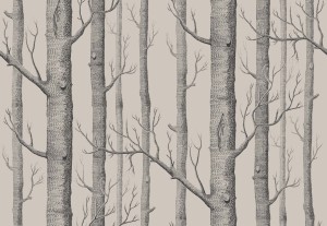 Tapeta Cole and Son Woods Charcoal/Grey