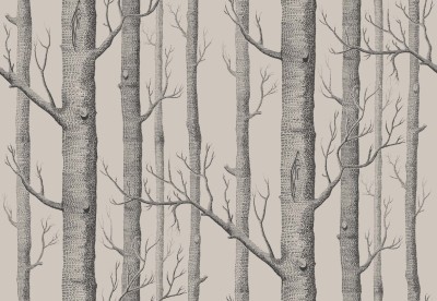 Tapeta Cole and Son Woods Charcoal/Grey 2