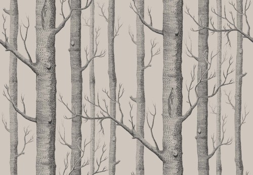 Tapeta Cole and Son Woods w odcieniach szarości i czerni, przedstawiająca wzór drzew z detalami pnia i gałęzi. Zbliżenie na realistyczny motyw roślinny, wzór na jasnym tle, doskonale nadający się do aranżacji wnętrz.
