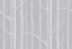 Tapeta Cole and Son Woods White/Soft Grey