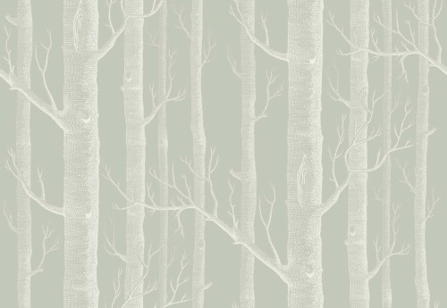 Tapeta Cole and Son Woods w kolorze białym i oliwkowym, przedstawiająca wzór drzew z wyraźnymi pniami i gałęziami na jednolitym, delikatnie oliwkowym tle. Wzór ma subtelną teksturę, nadającą elegancki wygląd.