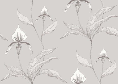 Tapeta Cole and Son Orchid w odcieniach bieli i szarości z delikatnymi, szkicowymi wzorami kwiatów orchidei. Produkt przedstawiony frontalnie na gładkim tle, z wyraźnymi detalami kwiatów i liści. Idealna do aranżacji wnętrz.