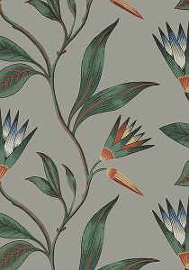 Tapeta Thibaut Anna French CLEO VINE Charcoal