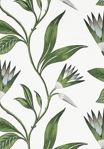Tapeta Thibaut Anna French CLEO VINE Green and White