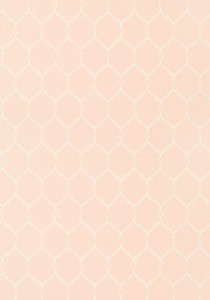 Tapeta Thibaut Anna French LELAND TRELLIS Pink
