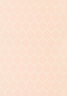 Tapeta Thibaut Anna French LELAND TRELLIS Pink 2