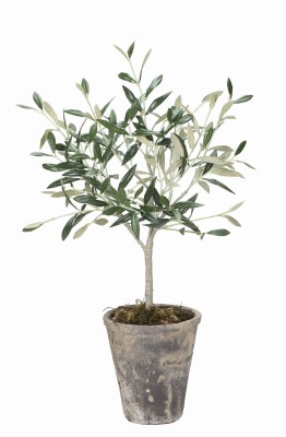 Flora Drzewko Oliwne Lene Bjerre Wys. 44cm 2
