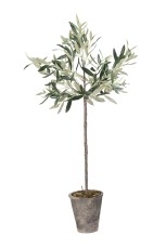 Flora Drzewko Oliwne Lene Bjerre Wys. 73cm