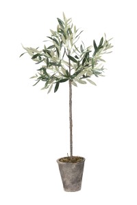 Flora Drzewko Oliwne Lene Bjerre Wys. 73cm