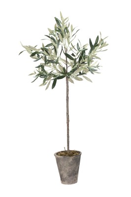 Flora Drzewko Oliwne Lene Bjerre Wys. 73cm