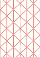 Tapeta Thibaut Box Kite Biel, Koral