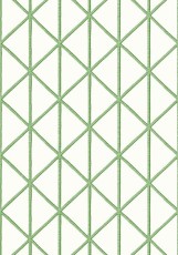 Tapeta Thibaut Box Kite Biel, Zieleń