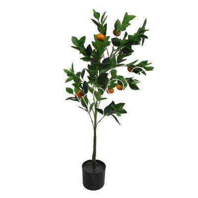 Drzewko Pomarańczy Wys. 80cm 2