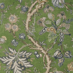 Tapeta Thibaut Anny French CHATELAIN Zielony