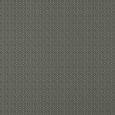 Tapeta Thibaut Anna French RIMBA Czarny 2