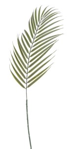 Liść Palmy Wys. 70cm