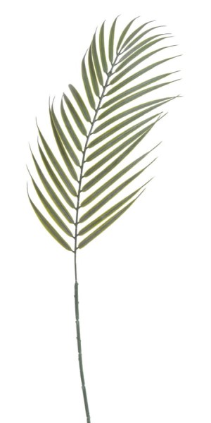 Liść Palmy Wys. 70cm