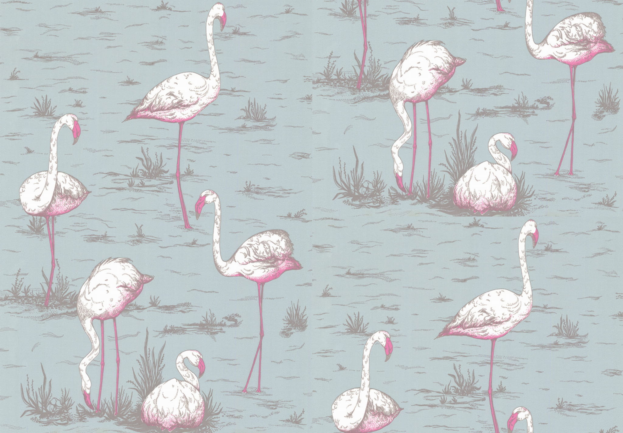 Tapeta Cole and Son Flamingos w kolorze białym i niebieskim, z ilustracjami flamingów na tle wody. Widoczne różowe akcenty oraz delikatna faktura tła. Produkt ma klasyczny wzór, idealny do stylowych wnętrz.