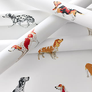 Tapeta Thibaut Anna French BUDDY Morski, przedstawiająca różne rasy psów na białym tle. Wzór w kolorach czarnym, brązowym, pomarańczowym i białym. Produkt zrolowany, z wyraźnym nadrukiem, ukazującym szczegóły psów w różnorodnych pozach.